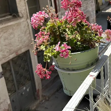 ホームステイ Chez Nebahat Boutique Ayvalı