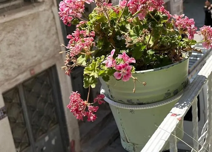 홈스테이 Chez Nebahat Boutique Ayvalı